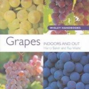 Titel: Grapes  Indoors and Outdoors
