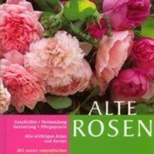 Titel: Alte Rosen