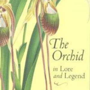 Titel: The Orchid