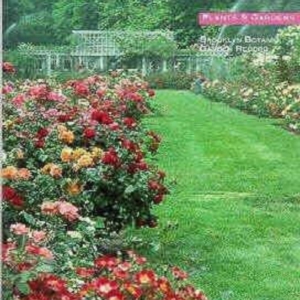 Titel: Plants & Gardens: Roses