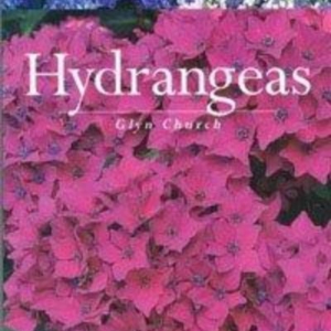 Titel: Hydrangeas