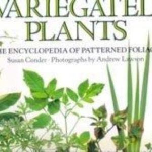 Titel: Variegated Plants