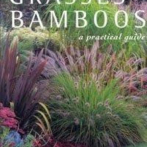 Titel: Grasses and Bamboos