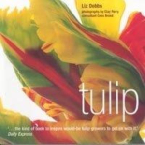 Titel: Tulip