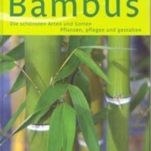 Titel: Bambus