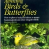 Titel: Attracting Birds & Butterflies