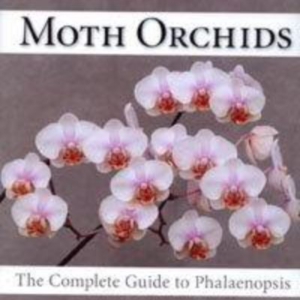 Titel: Moth Orchids