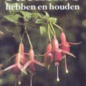 Titel: Fuchsia's Hebben en Houden