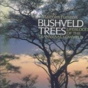 Titel: Bushveld Trees