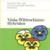 Titel: Viola-Wittrockiana-Hybriden