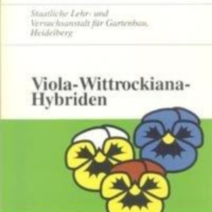 Titel: Viola-Wittrockiana-Hybriden