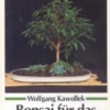 Titel: Bonsai für das Zimmer