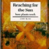 Titel: Reaching for the Sun