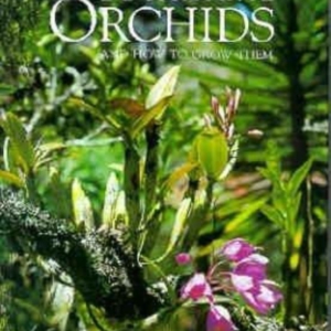 Titel: Botanical Orchids and How to Grow Them
