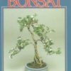 Titel: Indoor Bonsai