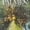 Titel: Palmen