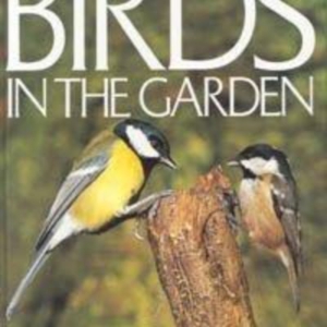 Titel: Birds in the Garden