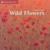 Titel: Wild Flowers