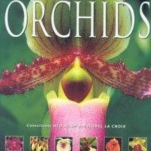 Titel: Flora's Orchids