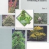 Titel: Promising Conifers Part 1