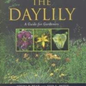 Titel: The Daylily