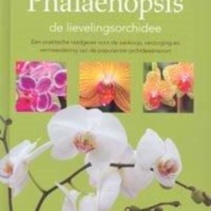 Titel: Phalaenopsis de lievelingsorchidee