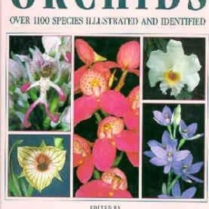 Titel: The Illustrated Encyclopedia of Orchids