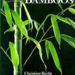 Titel: Bamboos