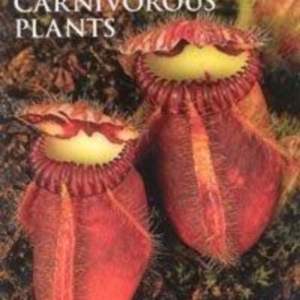 Titel: Growing Carnivorous Plants