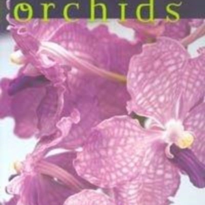 Titel: Orchids  a splendid Obsession