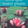 Titel: Rock and Water Plants