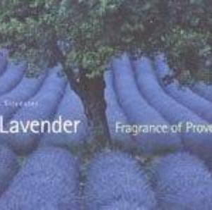 Titel: Lavender  Fragrance of Provence