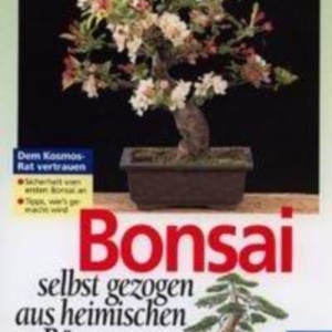 Titel: Bonsai selbst gezogen aus heimischen Bäumen