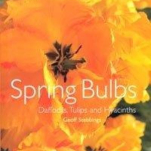 Titel: Spring Bulbs