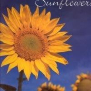 Titel: Sunflowers