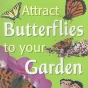 Titel: How to attract Butterflies to your Garden