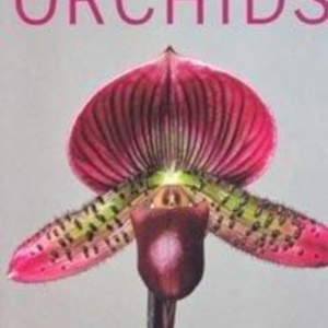 Titel: A practical guide to care and cultivation of Orchids