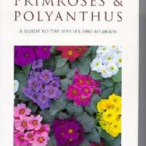 Titel: Primroses & Polyanthus