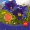 Titel: Alpenblumen