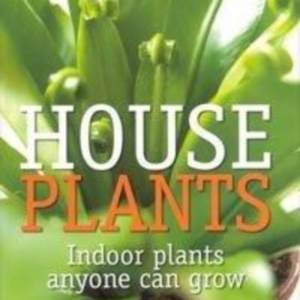 Titel: House Plants
