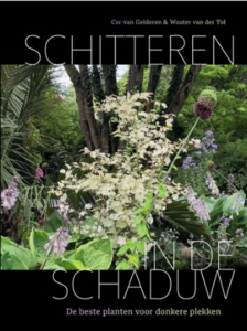 Titel: SCHITTEREN IN DE SCHADUW